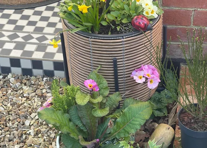 Godden Green B & B Guesthouse